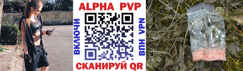 купить  сайты  Петропавловск-Камчатский  Альфа ПВП СК КРИС 