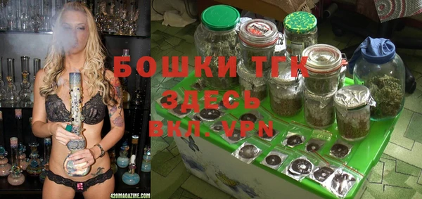 тгк Арсеньев
