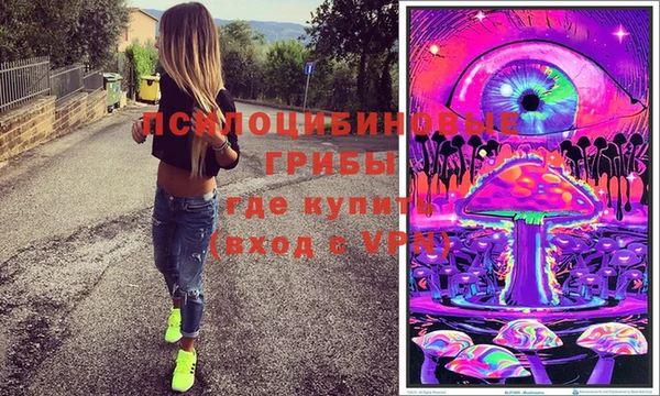соль ск Аркадак