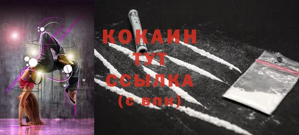 бошки Магас