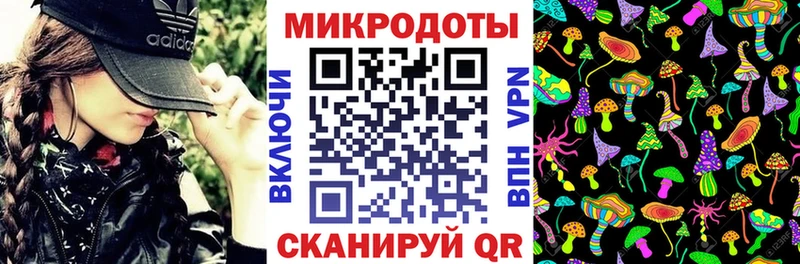 наркота  Петропавловск-Камчатский  Псилоцибиновые грибы GOLDEN TEACHER 